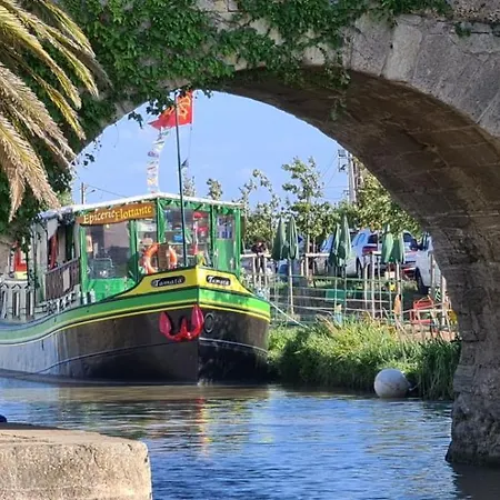 Nocleg ze śniadaniem Blue Maldives