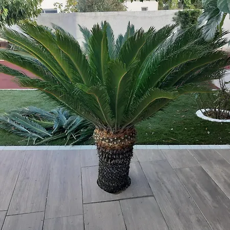 Nocleg ze śniadaniem Blue Maldives