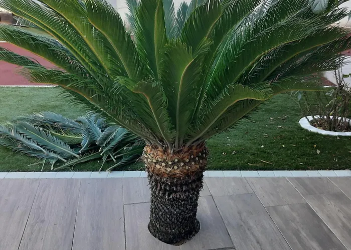 Bed and Breakfast Blue Maldives